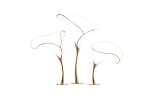 Calla Lily Trio