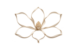 Magnolia Blossom