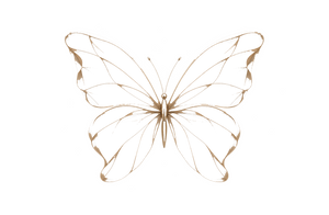 Butterfly Wings