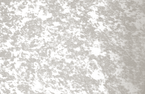 Texture