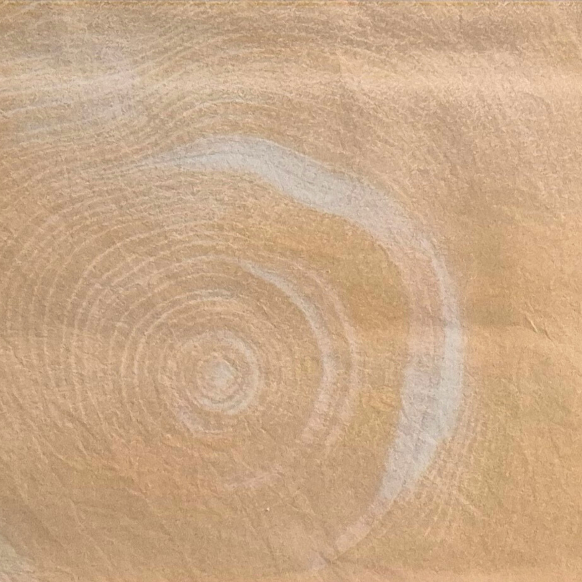 NEOSKIN | Fossil Orbit