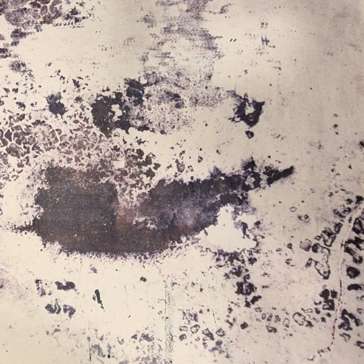 NEOSKIN | Strata Mootone