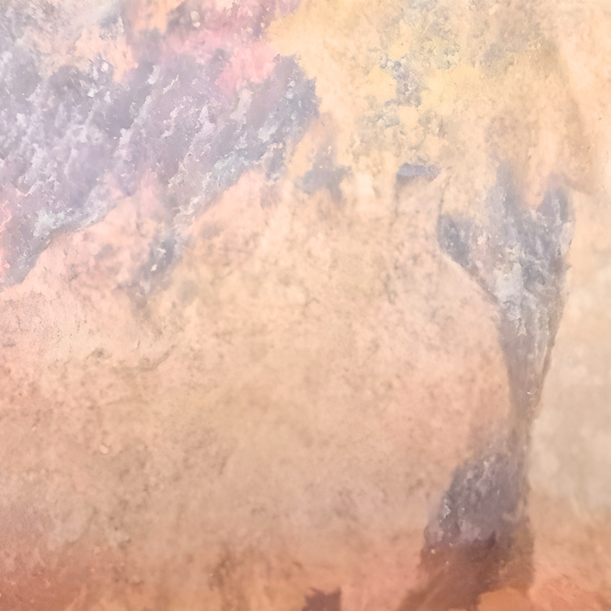 NEOSKIN | Strata Rosetta