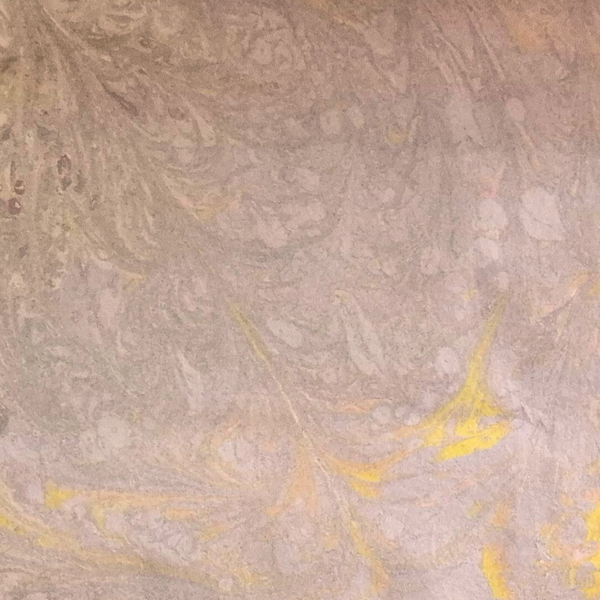 NEOSKIN | Vorta Ochre