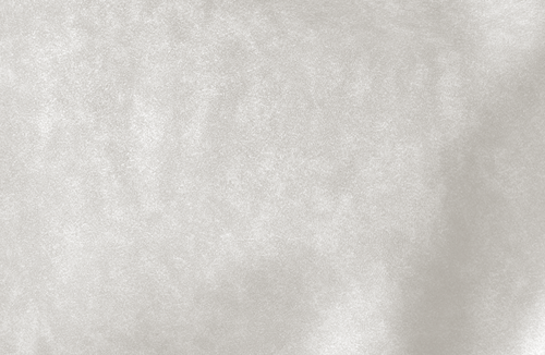 Texture