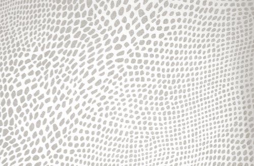 Texture